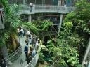 Viewing the rainforest exhibit from different levels