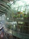 View of 4 story glass dome with rainforest exhibit