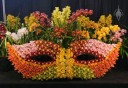 Cymbidiums displayed for the Carnaval show theme