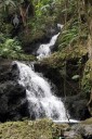 Onomea Falls runs through Hawaii Tropical Botanical Garden