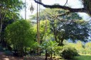 Botanical Garden in Waimea Valley