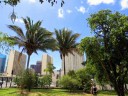 Looking at Downtown Honolulu from southern tip of Foster Botanical Garden