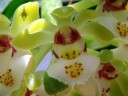 Gastrochilus flower