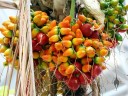 Colorful Palm fruit at California Academy of Sciences