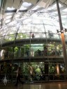 Rainforest dome at California Academy of Sciences