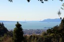 View of Golden Gate Bridge Alcatraz and San Francisco Bay from Univ. of California Botanical Garden at Berkeley