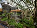 Ferns Greenhouse with waterfall, Montreal Botanical Garden, Canada