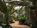 Reception Centre Garden with tropical flowers and plants at the Montreal Botanical Garden, Canada