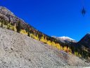 Mountains and fall foliage near Silverton, Colorado, yellow aspen trees and conifers and mountains with snow, Rocky Mountains, Western Slope