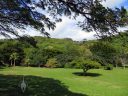Tropical trees, McBryde Garden, Koloa, Kauai, Hawaii, National Tropical Botanical Garden