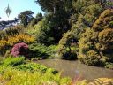 Pond and trees, San Francisco Botanical Garden, Strybing Arboretum, Golden Gate Park