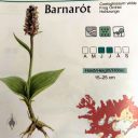 Coeloglossum viride, Frog Orchid, orchid species illustration and distribution map in Iceland, orchid name shown in Icelandic Latin English and German