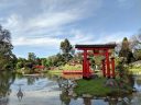 Red Tori gate on island, koi lagoon, curved bridge, Buenos Aires Japanese Gardens, Jardín Japonés de Buenos Aires, Parque Tres de Febrero, Palermo neighborhood, Argentina