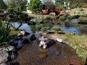 View of stone lantern, koi lagoon, trees and bridges, Buenos Aires Japanese Gardens, Jardín Japonés de Buenos Aires, Parque Tres de Febrero, Palermo neighborhood, Argentina