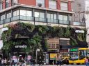 Vertical garden, plants growing on outdoor building walls above store, Recoleta neighborhood, Avenida Santa Fe, Buenos Aires, Argentina