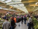 Plant sales area, Pacific Orchid Expo 2019, Hall of Flowers, Golden Gate Park, San Francisco, California