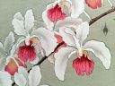 Holcoglossum kimballianum, orchid species flowers, woodblock print, Rankafu exhibit, Orchid Flower Album, RBG Kew, Kew Gardens, London, UK