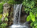 Waterfall with tropical plants, Singapore Botanic Gardens, UNESCO World Heritage Site