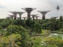 Supertrees, Supertree Grove, vertical gardens, Gardens by the Bay Nature Park, Singapore