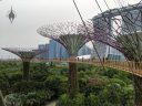 Supertrees and raised pedestrian Skyway, Supertree Grove, vertical gardens, Gardens by the Bay Nature Park, Singapore