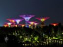 Supertrees lit in different colors at night, Supertree Grove, vertical gardens, Gardens by the Bay Nature Park, Singapore