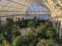 View of plants in Temperate House from upper walkway, large glasshouse, Kew Gardens, RBG Kew, London, UK