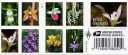 USPS wild orchid stamps, first-class forever stamps, native USA orchid species, 8 stamps of a 20-stamp booklet, Lady Slipper orchids