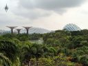 Supertrees, Flower Dome and Cloud Forest glasshouses, lush green growth, City in a Garden, Gardens by the Bay Nature Park, Singapore