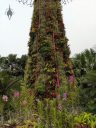 Large blooming Vanda orchids growing at base of a Supertree, bromeliads, artificial tree, vertical gardens, lush green tropical growth, Marina Bay Sands Hotel in background, City in a Garden, Gardens by the Bay Nature Park, Singapore