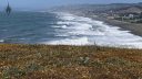 View of ocean waves, Sharp Park beach and Pacifica Pier from Mori Point, covered in native wildflowers, including Lupines, Tidy Tips, and California Goldfields, Layia platyglossa, Lasthenia californica, Pacifica, Golden Gate National Recreation Area, GGNRA, Pacific Ocean, Northern California
