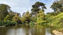 Strybing Arboretum, McBean Wildfowl Pond, pond surrounded by trees and shrubs, San Francisco Botanical Garden, Strybing Arboretum, Golden Gate Park, San Francisco, California