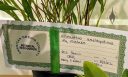 Certificate of Botanical Recognition (CBR) for Elleanthus amethystinus 'My Mistake', Peninsula Orchid Society Show 2022, San Mateo, California