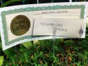 Certificate of Cultural Excellence (CCE) award for Mediocalcar decoratum plant, Pacific Orchid Expo 2017, San Francisco