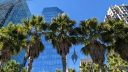 Palm trees and skyscrapers with blue sky, Salesforce Park, Salesforce Tower, Financial District, San Francisco, California